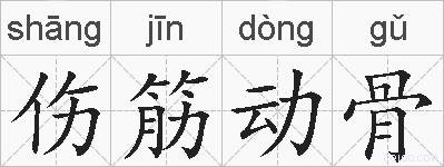 伤筋动骨的拼音