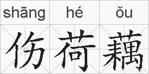 伤荷藕的拼音