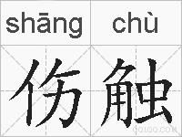 伤触的拼音