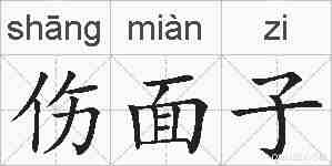 伤面子的拼音