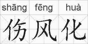 伤风化的拼音