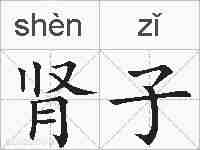 肾子的拼音