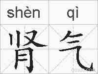 肾气的拼音