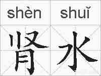 肾水的拼音