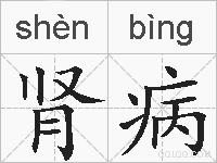 肾病的拼音