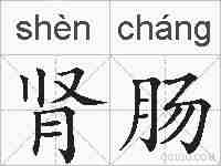 肾肠的拼音