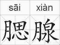 腮腺的拼音