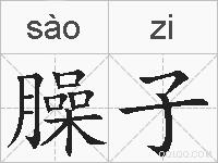 臊子的拼音