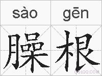 臊根的拼音