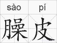 臊皮的拼音