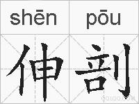 伸剖的拼音