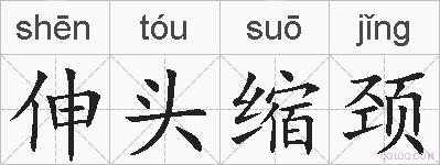 伸头缩颈的拼音