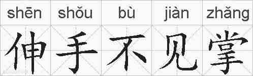 伸手不见掌的拼音