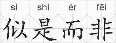 似是而非的拼音