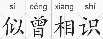 似曾相识的拼音