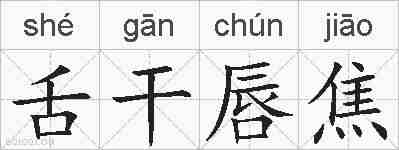 舌干唇焦的拼音