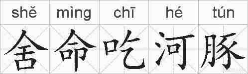 舍命吃河豚的拼音