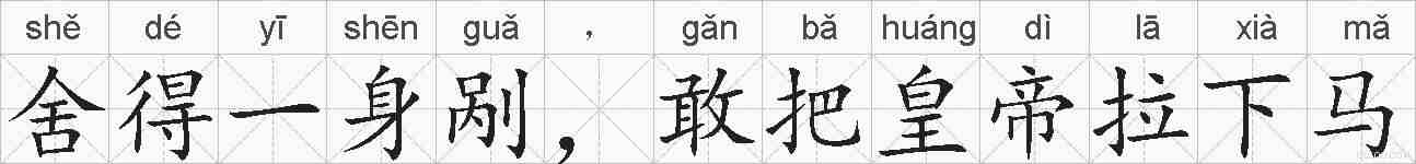 舍得一身剐，敢把皇帝拉下马的拼音