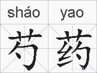 芍药的拼音