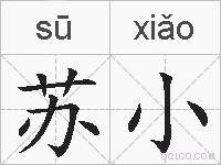 苏小的拼音