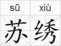 苏绣的拼音