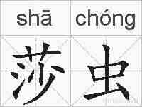 莎虫的拼音
