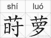 莳萝的拼音