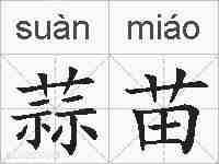 蒜苗的拼音