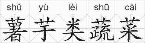 薯芋类蔬菜的拼音