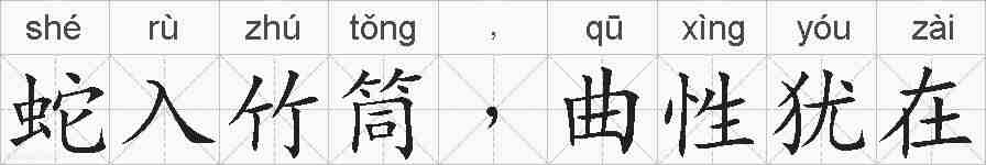 蛇入竹筒﹐曲性犹在的拼音