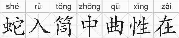 蛇入筒中曲性在的拼音