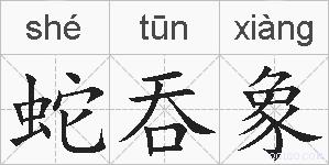 蛇吞象的拼音