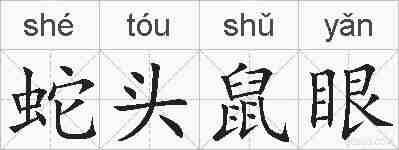 蛇头鼠眼的拼音