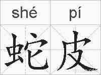 蛇皮的拼音
