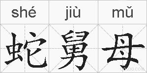 蛇舅母的拼音