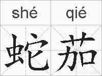 蛇茄的拼音