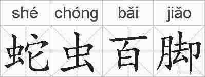 蛇虫百脚的拼音