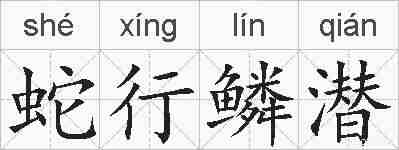 蛇行鳞潜的拼音