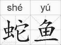 蛇鱼的拼音