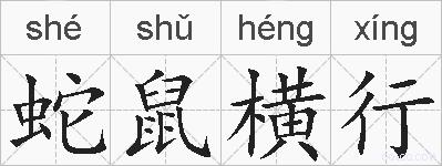 蛇鼠横行的拼音