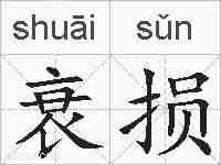 衰损的拼音