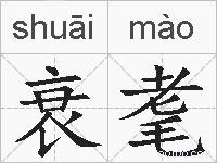 衰耄的拼音