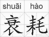 衰耗的拼音