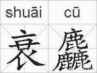衰麤的拼音