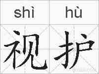 视护的拼音
