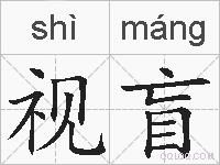 视盲的拼音