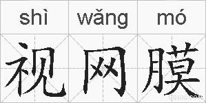 视网膜的拼音