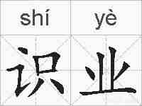 识业的拼音