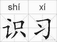 识习的拼音