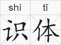 识体的拼音